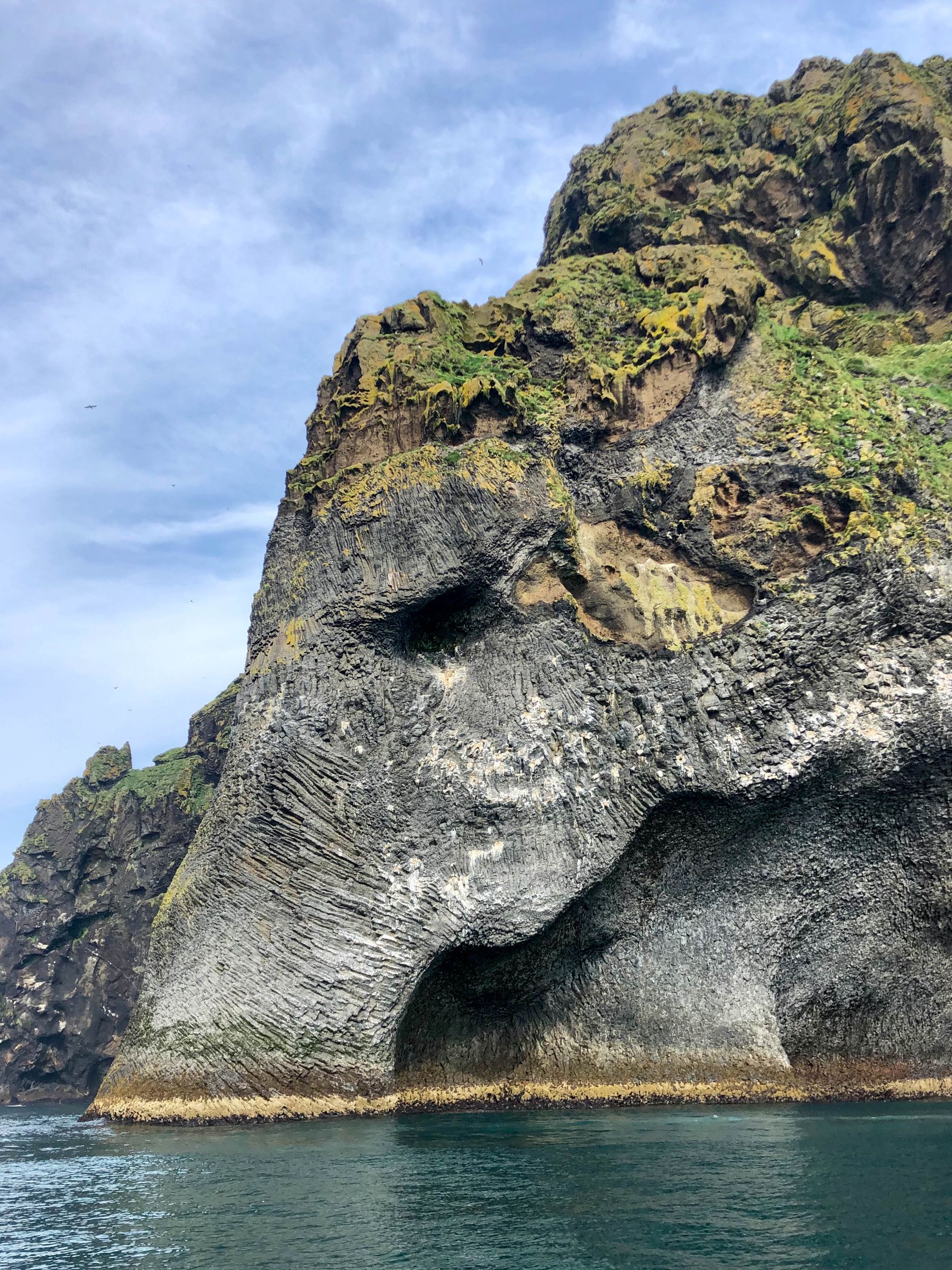 Elephant Island: A Magical Picture